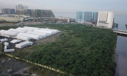 Manila’s mega Covid-19 vaccination site is a threat to urban forest and access to vaccines, activists say