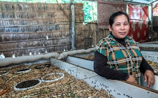 Former textile factory worker Ngo Sinoun, 37, is now an insect farmer. to Image: Roberto Traina