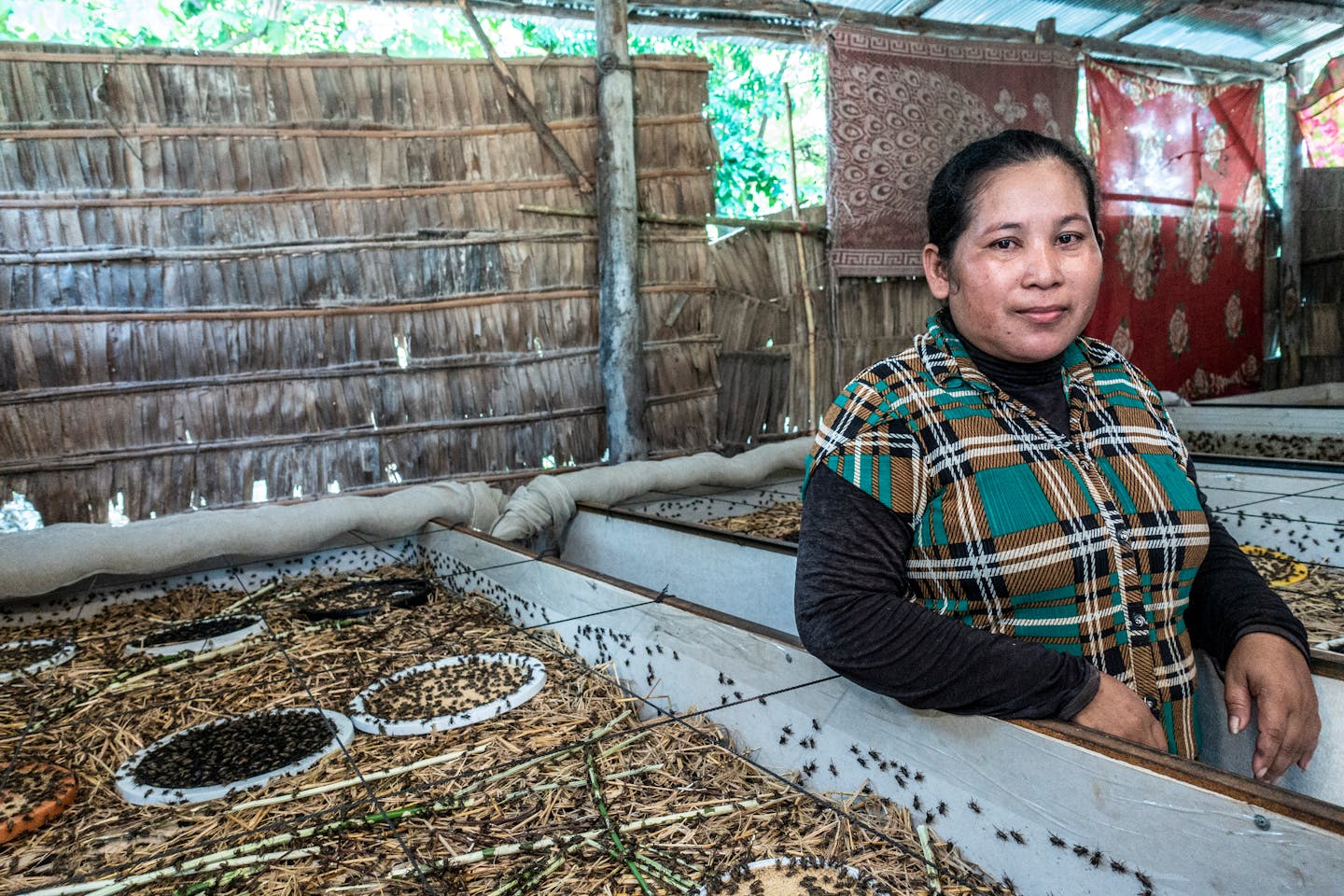 Former textile factory worker Ngo Sinoun, 37, is now an insect farmer. to Image: Roberto Traina