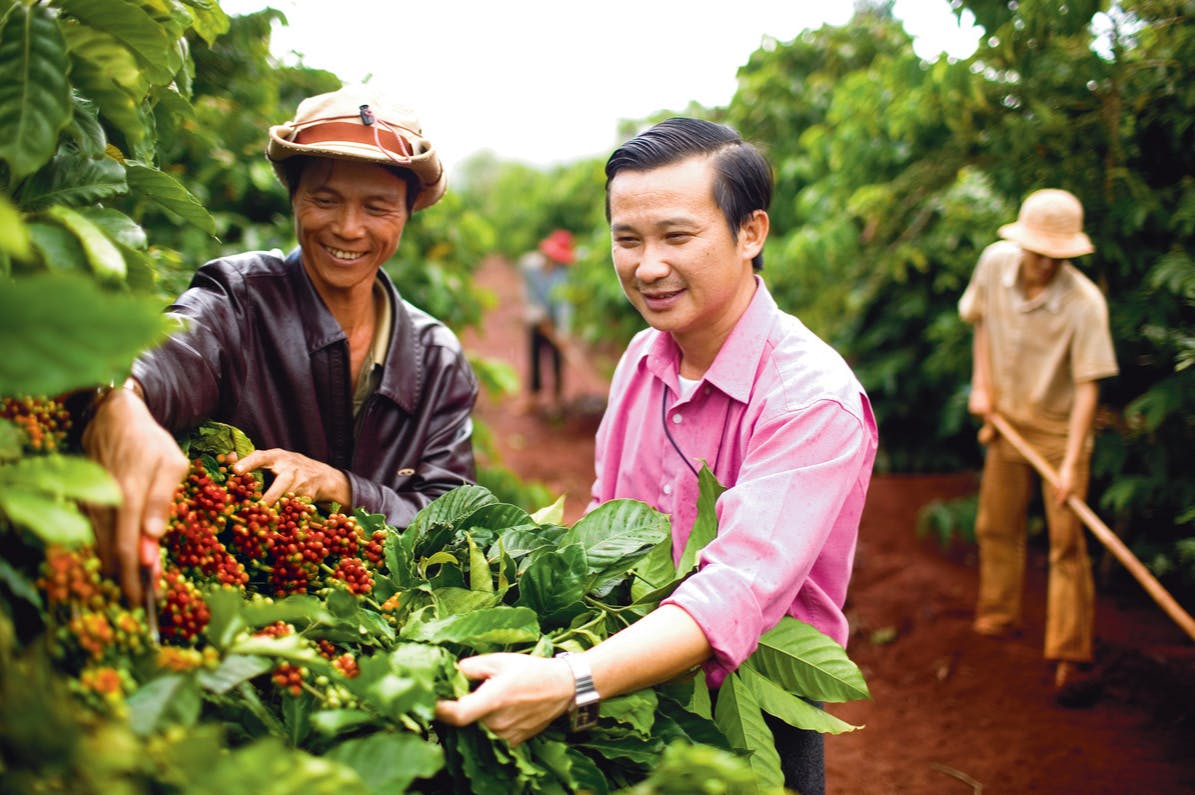 Olam coffee Vietnam