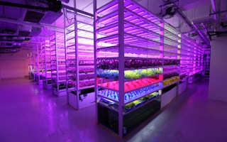 A vertical farm at Farm66