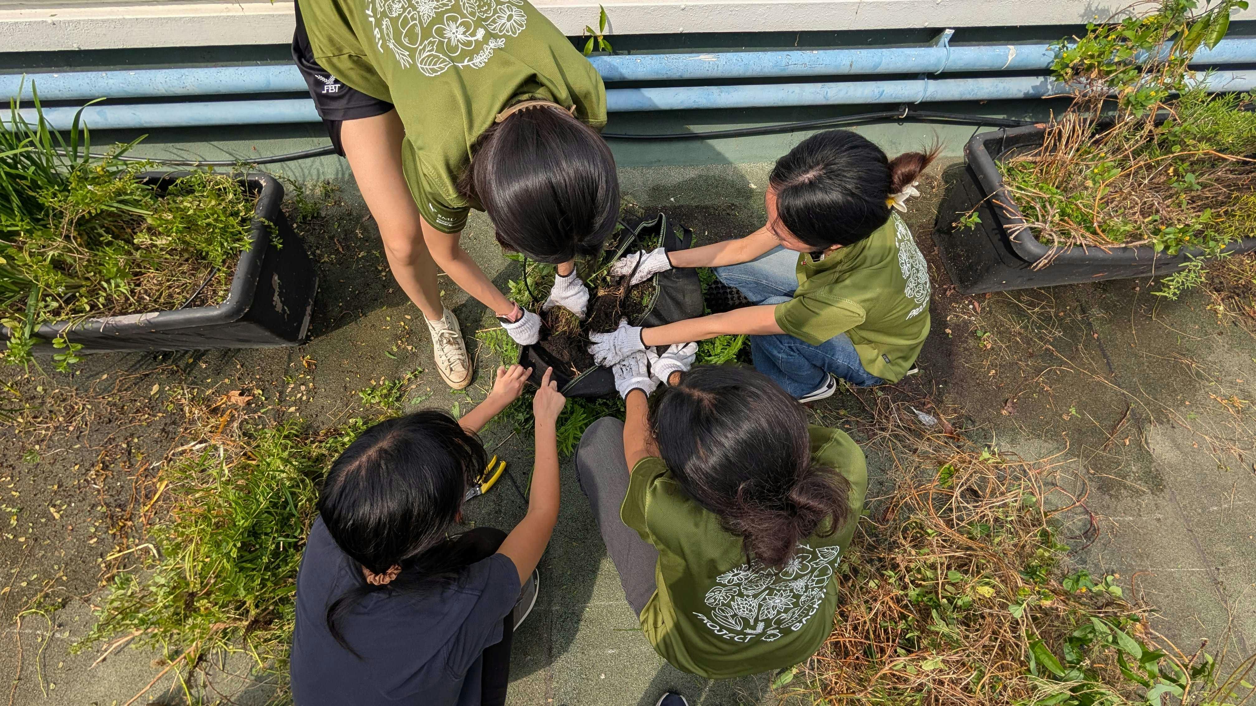 EB_Impact_Youth_Planting