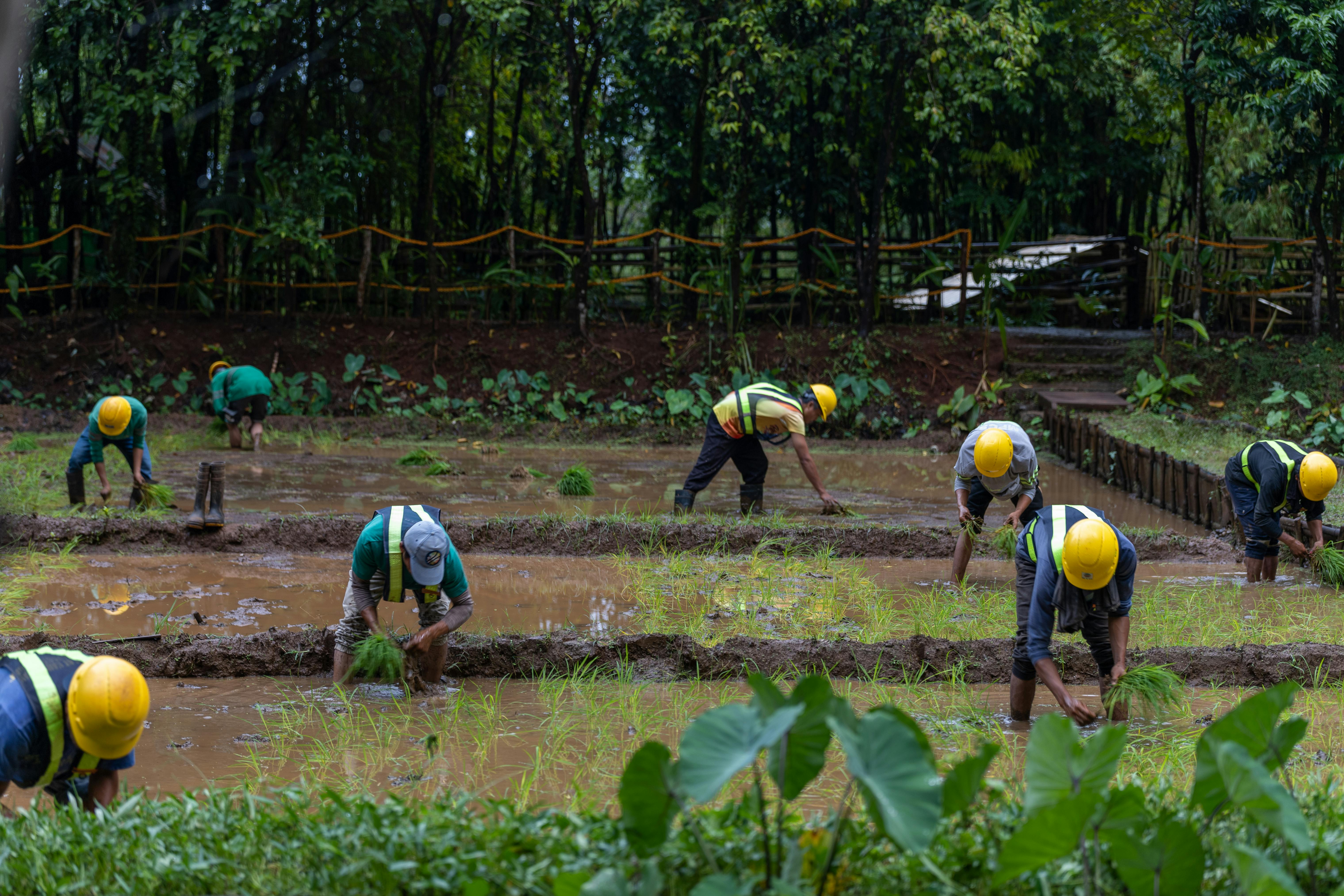 Indigenous peoples workers in Rio Tuba Mining Corp