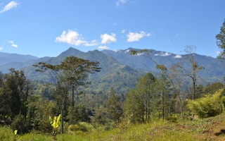 Papua New Guinea highland forests