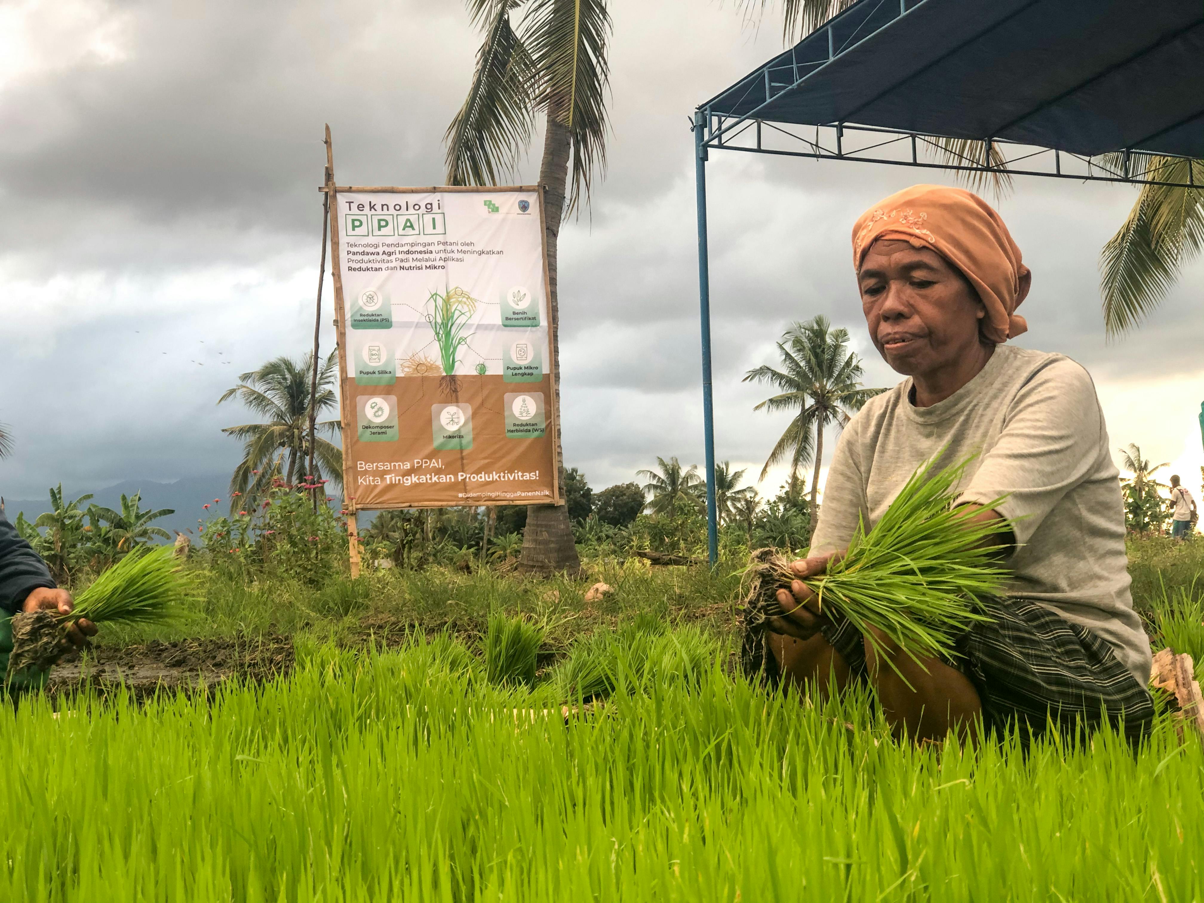 Can Organic Farming Be Scaled To Feed Asia? | News | Eco-Business ...