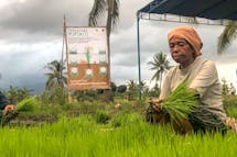 Can organic farming be scaled to feed Asia?