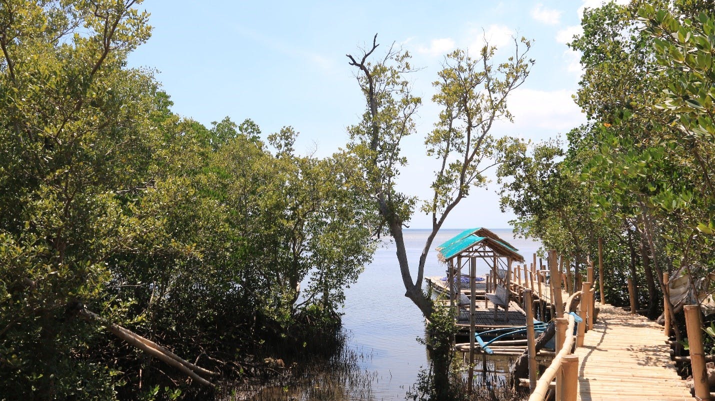 Pulo Mangrove Sanctuary