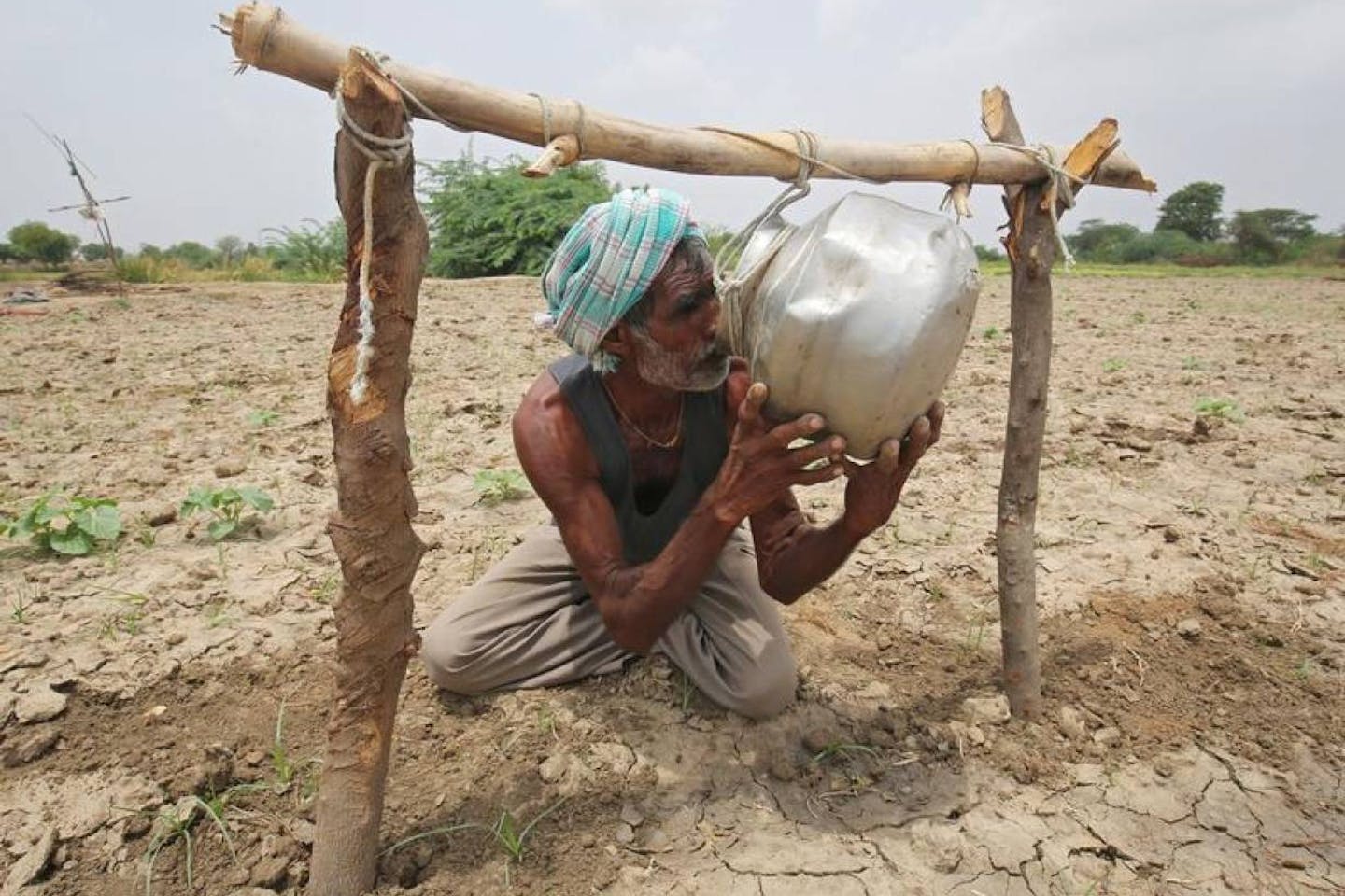 heat stress
