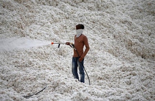 cotton production in India