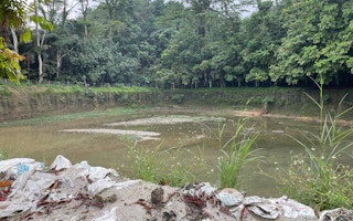 Retention pond in Bangsar