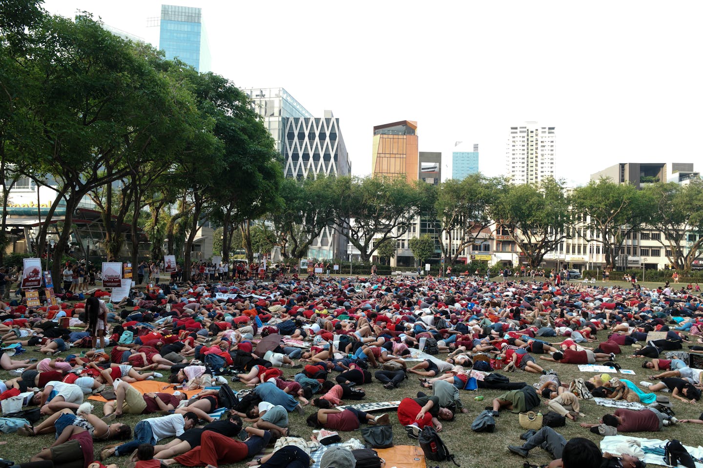 sg climate rally 2019