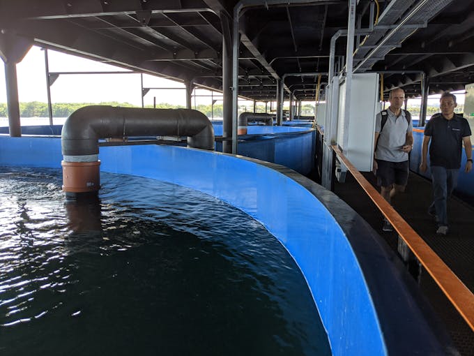 SAT recirculating aquaculture system