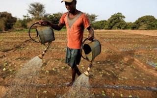 A farm worker manually irrigates a salad field, amid the outbreak of the coronavirus disease in Thies, Senegal.