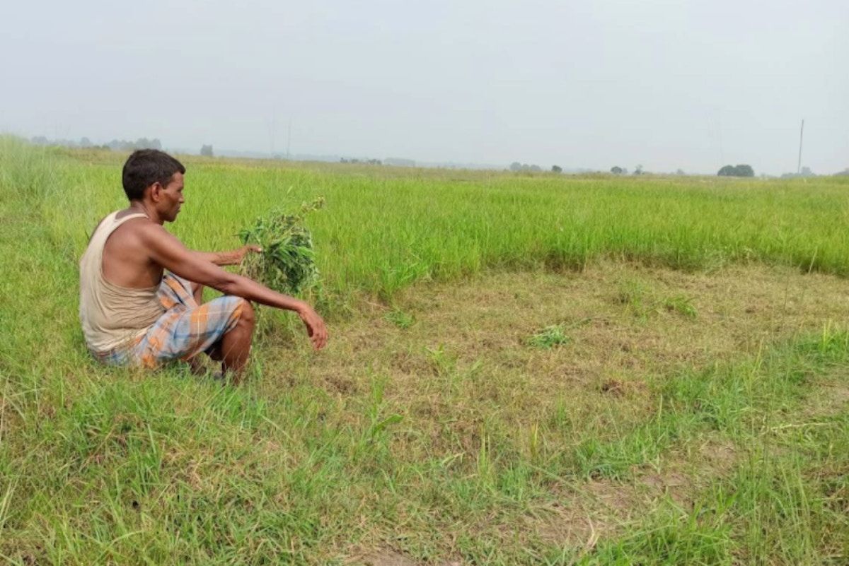 Drought and hunger drive Nepal farmers to India, defying Covid ban - Eco-Business