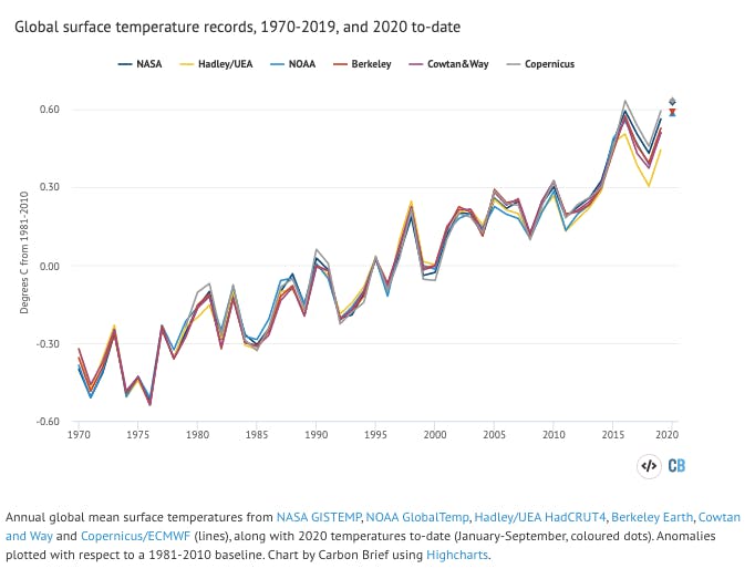 warm year 2020