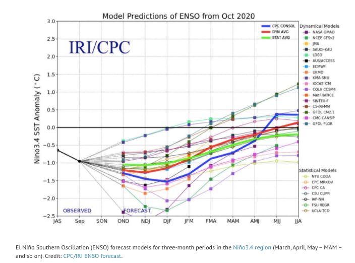 warm year 2020c