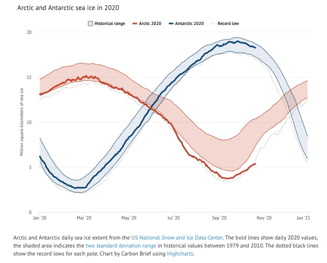 warm year 2020j