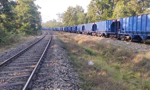 More trains through Indian forest reserve, more animals at risk