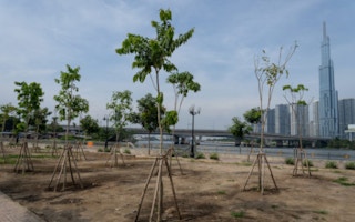 Trees Saigon River