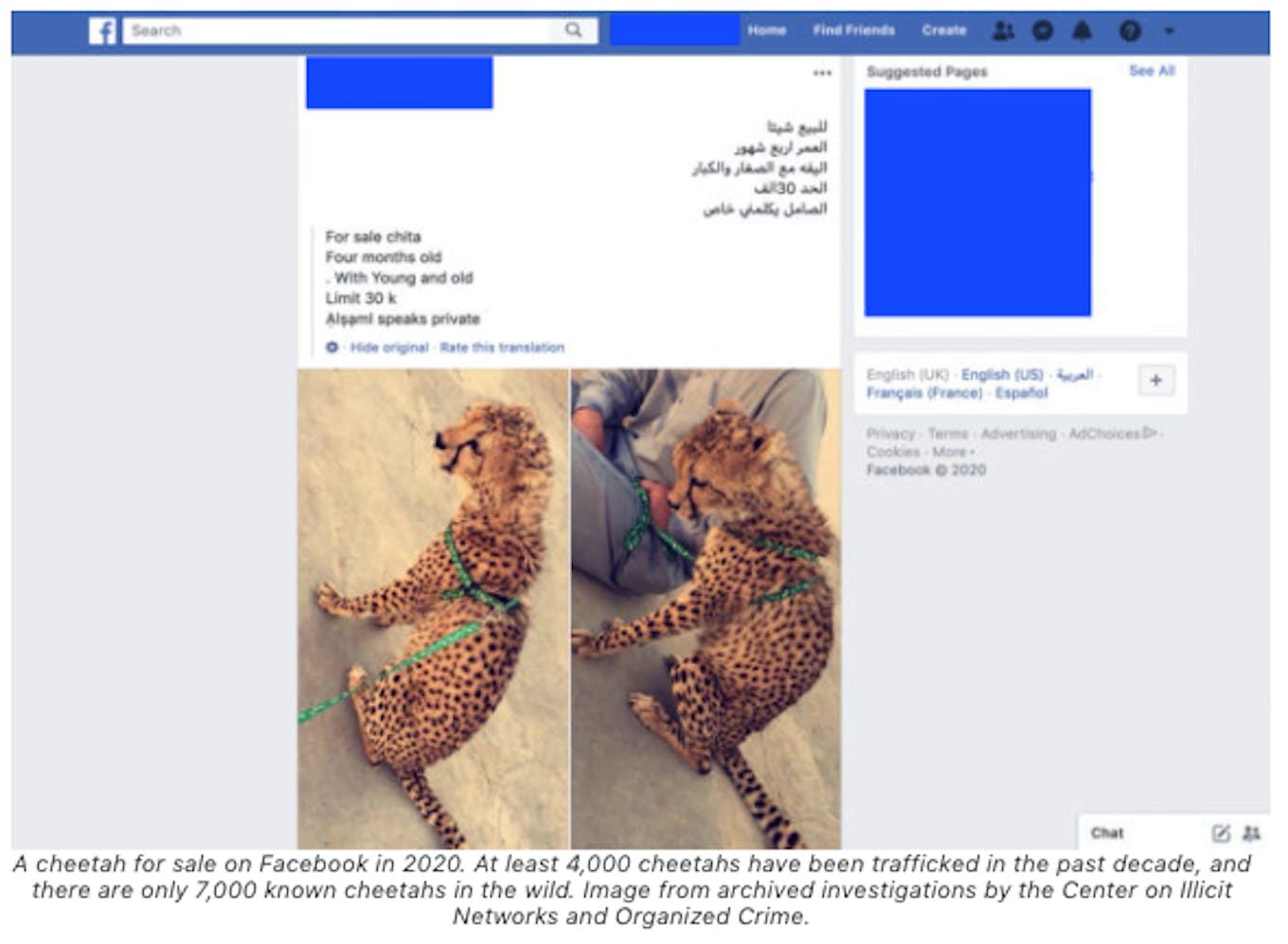 Facebook illegal wildlife