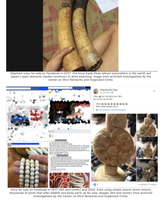 16887 Facebook illegal wildlife2