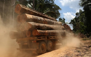 logs cut from the Bom Retiro deforestation area