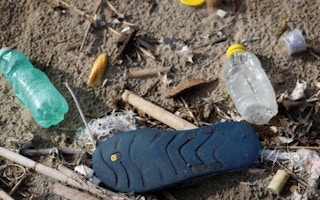 Plastic bottles and a flip-flop
