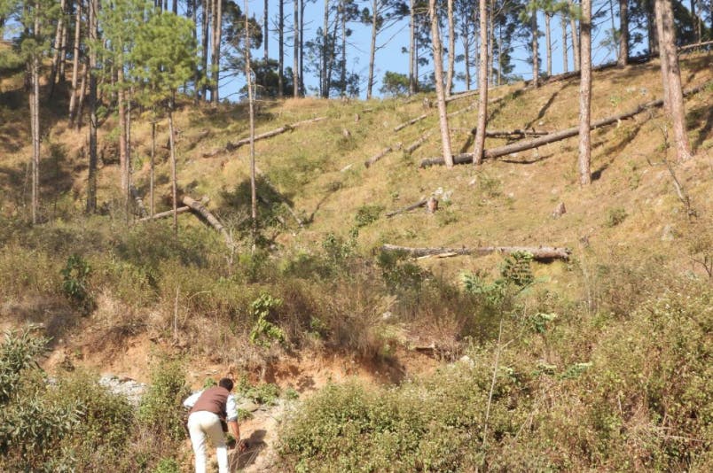 A resident in Chamoli in the Indian state of Uttarakhand