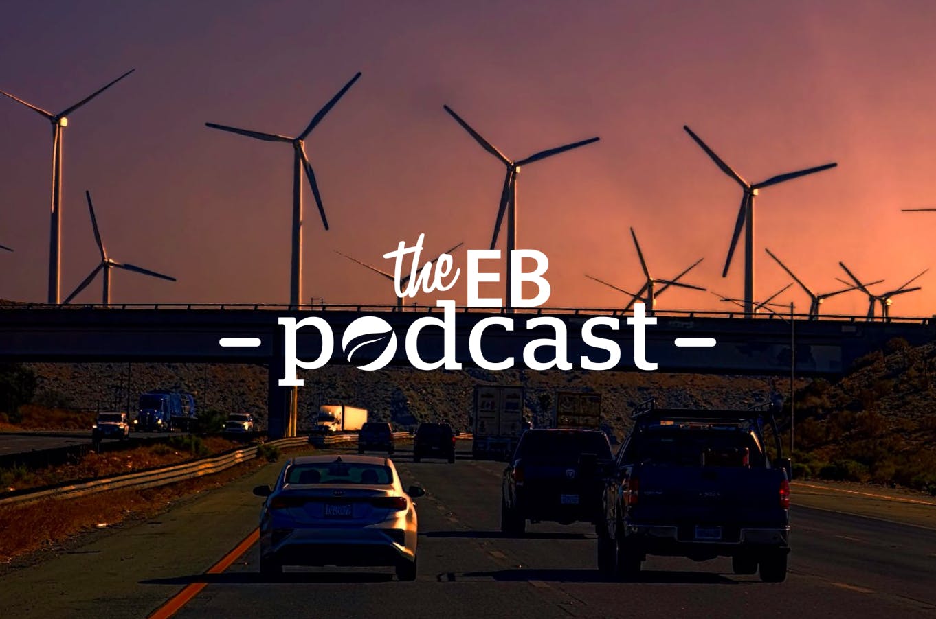 EB Podcast with Elena Philipova, director of sustainable finance, Refinitiv