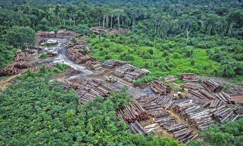 Countering Bolsonaro’s UN speech, Greenpeace reveals Amazon deforestation photos
