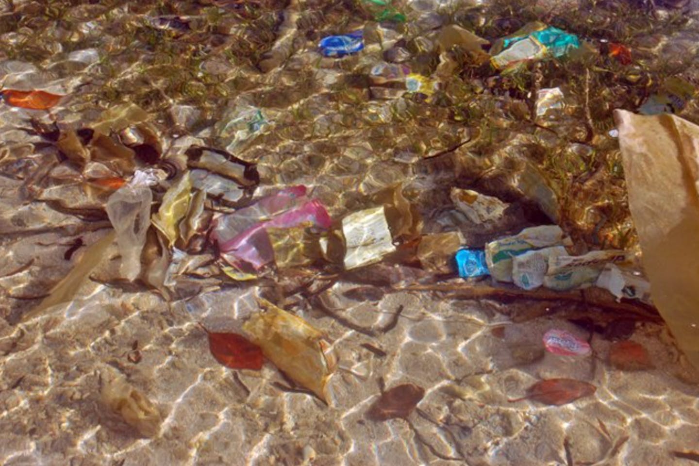 trashed waters of indonesia