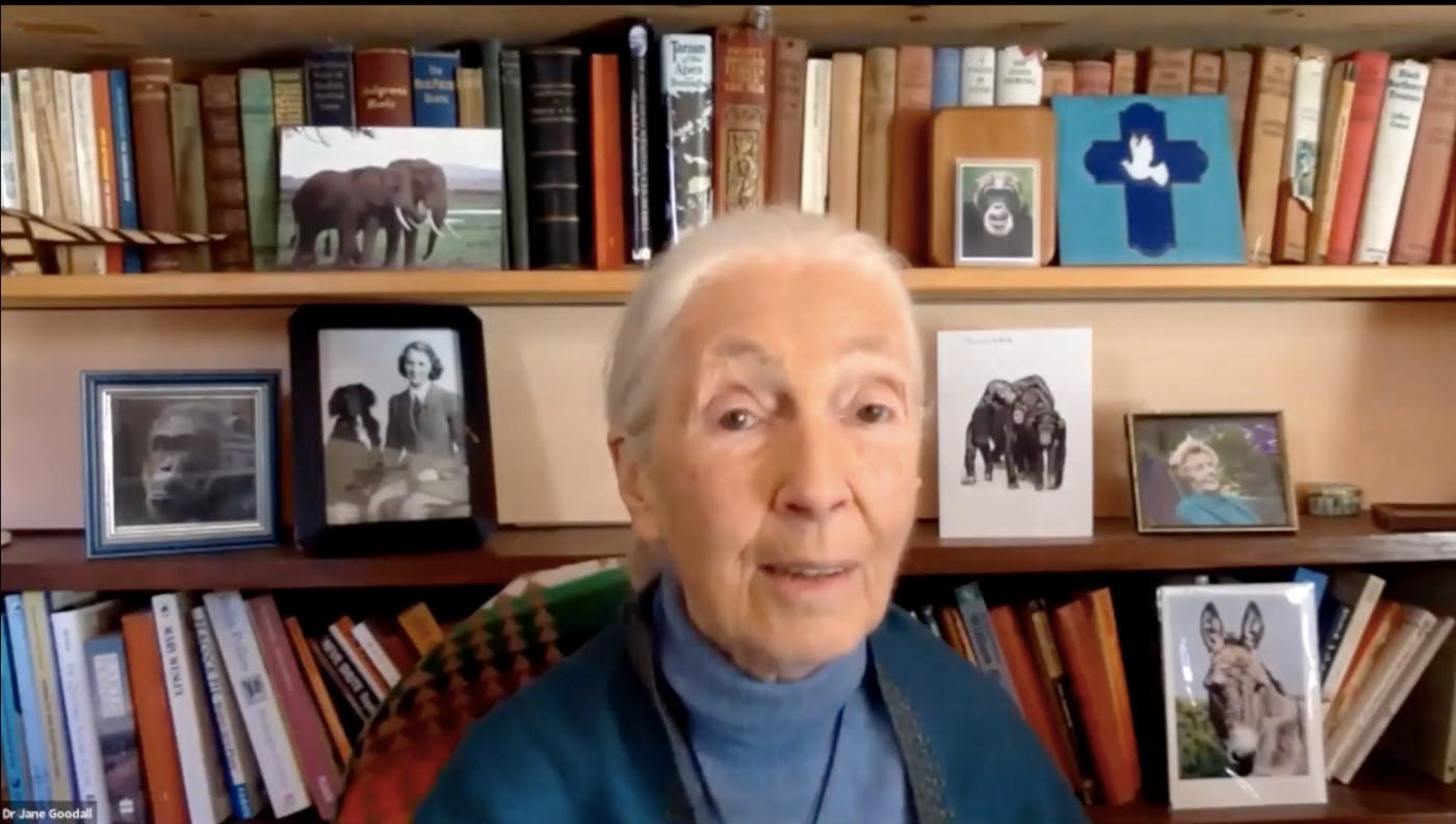 Jane Goodall If young people lose hope, that’s the end of humanity