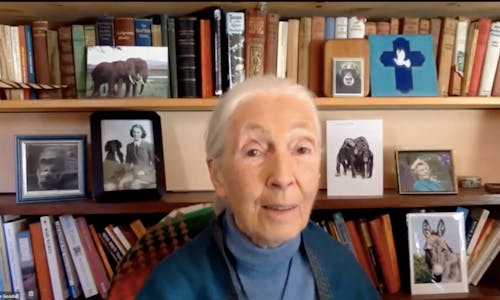 Jane Goodall: If young people lose hope, that’s the end of humanity