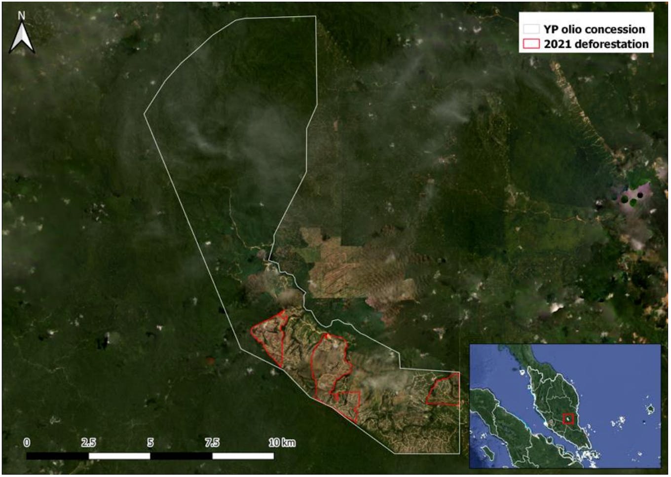 Deforestation in YP Olio's concession in 2021. Image: Chain Reaction Research