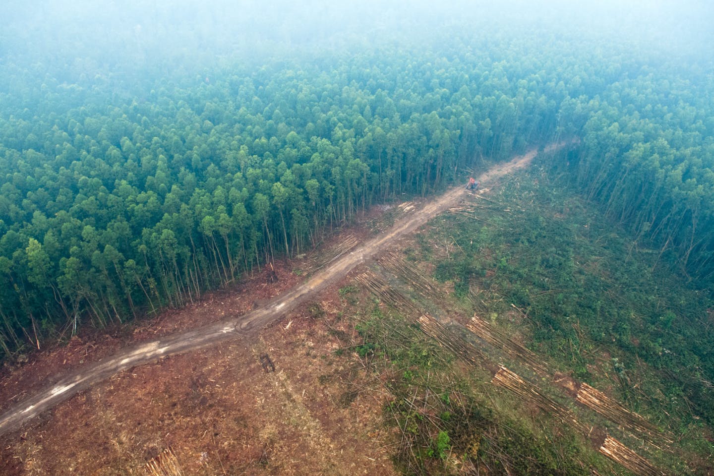 haze from forest fires in indonesia