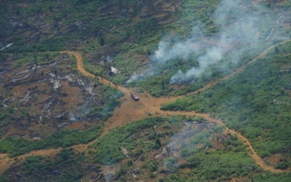 aerial view of deforested plot in amazon