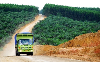 palm oil plantation in indonesia