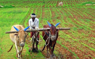 farmer in india