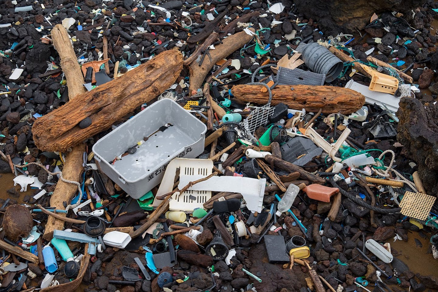 beach trash usa