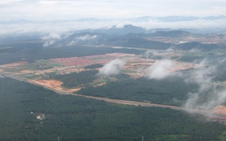 Oil palm plantations in Sarawak as seen from a plane.