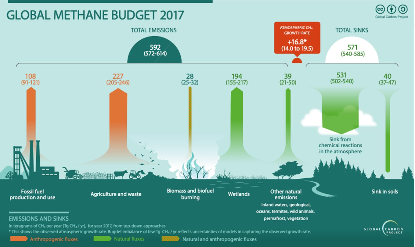 Global Methane Budget