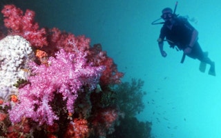 diving in pulau sibu