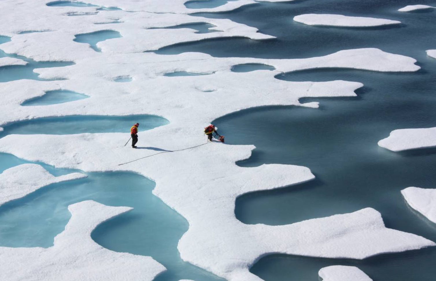 Look Beyond COP26 Summit To Real World For Climate Action, Says Top UK ...