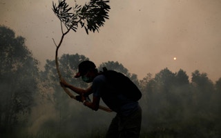 volunteer firefighter uses a tree branch to extinguish fires in Pulang Pisau