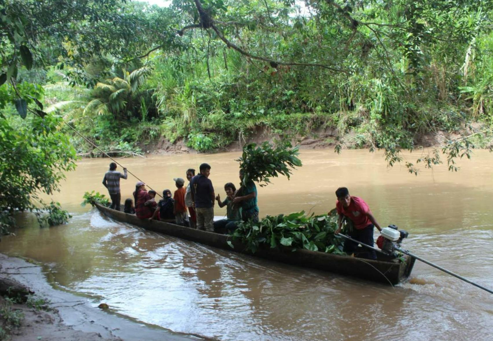 Rights Groups Warn COP26 Rules On Carbon Markets Leave Indigenous ...