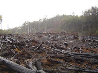 deforestation in australia