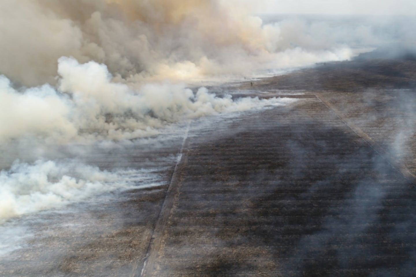 Burning concession of palm oil company