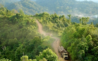 Trucks carrying logs in Gunung Lumut
