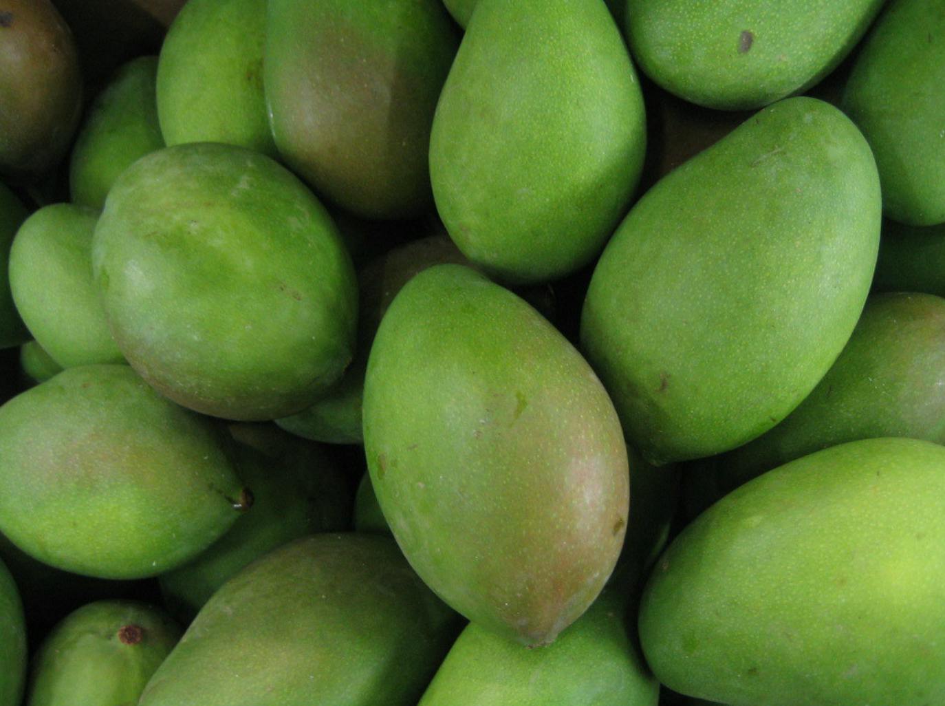 mangoes from cambodia