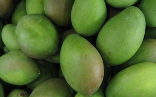 mangoes from cambodia
